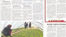 金年会·(中国)金字招牌信誉至上