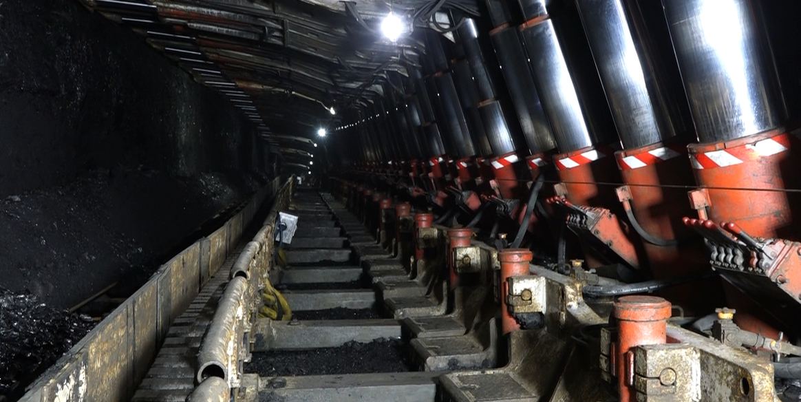 金年会·(中国)金字招牌信誉至上