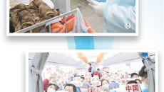 金年会·(中国)金字招牌信誉至上