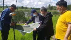 金年会·(中国)金字招牌信誉至上