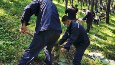 金年会·(中国)金字招牌信誉至上