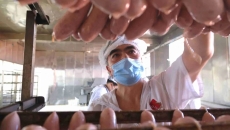 金年会·(中国)金字招牌信誉至上