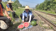 金年会·(中国)金字招牌信誉至上