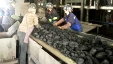 金年会·(中国)金字招牌信誉至上