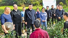 金年会·(中国)金字招牌信誉至上