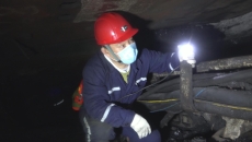 金年会·(中国)金字招牌信誉至上