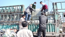 金年会·(中国)金字招牌信誉至上