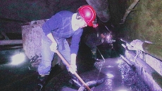 金年会·(中国)金字招牌信誉至上