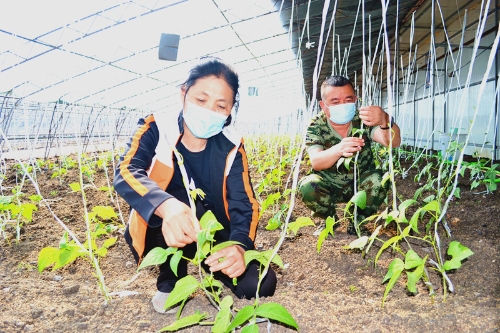 微信图片_20210518092545