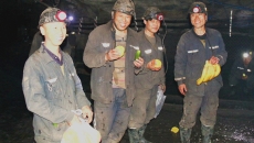 金年会·(中国)金字招牌信誉至上