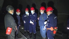 金年会·(中国)金字招牌信誉至上