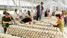 金年会·(中国)金字招牌信誉至上