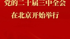 金年会·(中国)金字招牌信誉至上