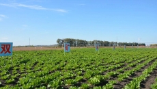 金年会·(中国)金字招牌信誉至上