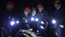 金年会·(中国)金字招牌信誉至上