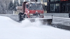 金年会·(中国)金字招牌信誉至上