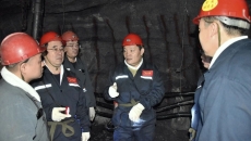 金年会·(中国)金字招牌信誉至上