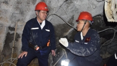 金年会·(中国)金字招牌信誉至上