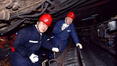 金年会·(中国)金字招牌信誉至上