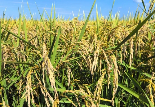 微信图片_2025-09-14_200437_462