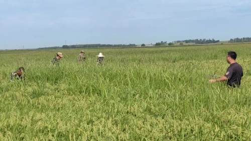 微信图片_2025-09-15_122617_096