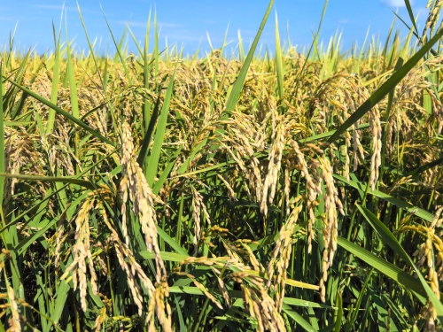 微信图片_2025-09-15_122620_292