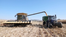 金年会·(中国)金字招牌信誉至上